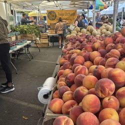 Toigo Orchards - Stand at Dupont Circle FRESHFARM Market