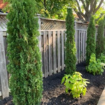 NJB Contracting - a garden with a wooden fence and shrubbery - Landscaping Near Me NJB Contracting - a garden with a wooden fence and shrubbery - Landscaping Near Me