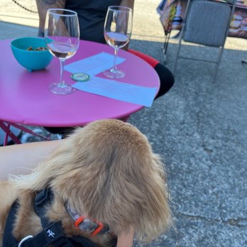 Wildside Wine - a dog sitting at a table with wine glasses - Beer, Wine & Spirits Near Me - Fircrest, Washington Wildside Wine - a dog sitting at a table with wine glasses - Beer, Wine & Spirits Near Me - Fircrest, Washington