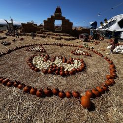 Speer Family Farms Pumpkin Patch