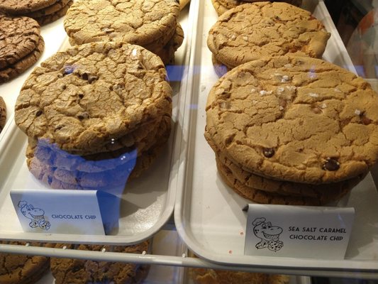 T-Rex Cookie Company by null