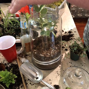 Roosevelt's Terrariums - A work in progress... - Nurseries & Gardening Near Me - Portland, Oregon Roosevelt's Terrariums - A work in progress... - Nurseries & Gardening Near Me - Portland, Oregon