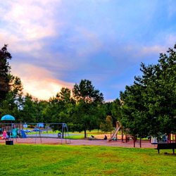 Thornbury Park - Thornbury Park
