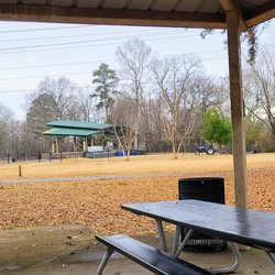 Ridge Ferry Park - Picnic tables across the lawn from the stage