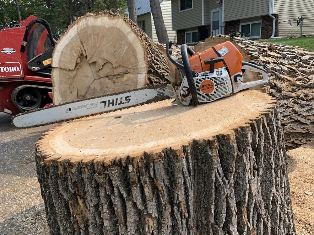 Peach Tree Care - tree service in Saint Paul, MN