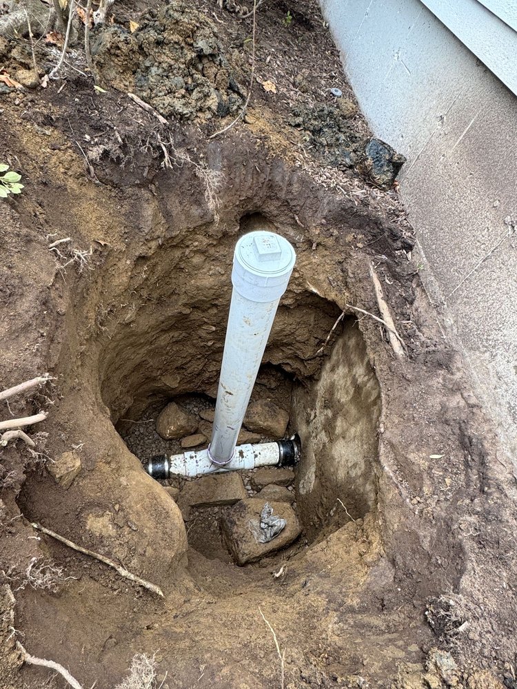 Slide of Rodri’s Rooter