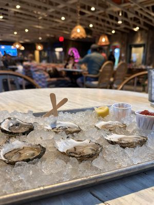 The Raw Bar at Island Creek Oyster Farm by null