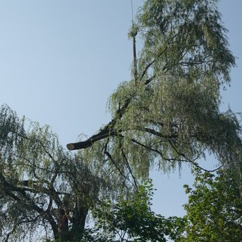 Maple Leaf Tree Service - Tree Services Near Me - Hampstead, New Hampshire