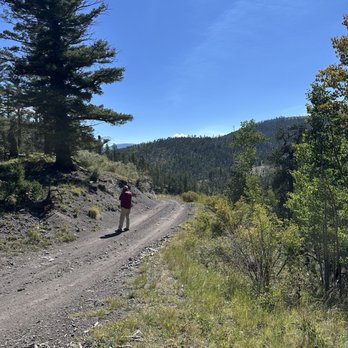 Bobcat Pass Wilderness Adventures - ATV Rentals/Tours Near Me - Red River, New Mexico