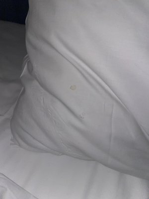 Hotel Challis Potts Point by null