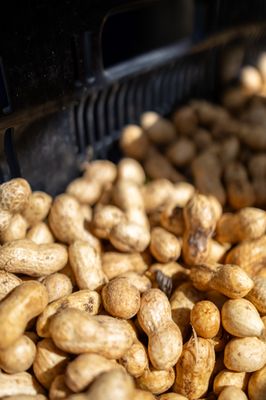 Ferry Plaza Farmers Market by null Ferry Plaza Farmers Market by null