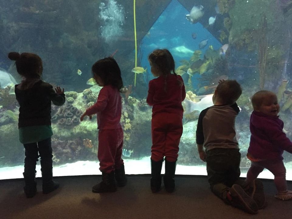 ABQKidZone - childcare center in Albuquerque, NM