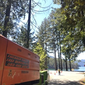 Emerald Valley Tree Service - Tree Services Near Me