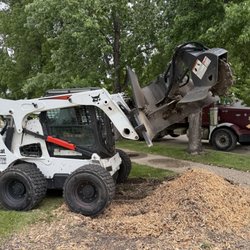 Johnny B's Trees and Service - Stump grinding