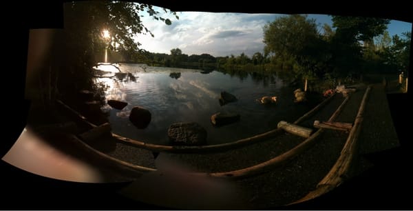 Fresh Pond by null