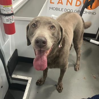 Furry Land Mobile Grooming - Pet Groomers Near Me Furry Land Mobile Grooming - Pet Groomers Near Me