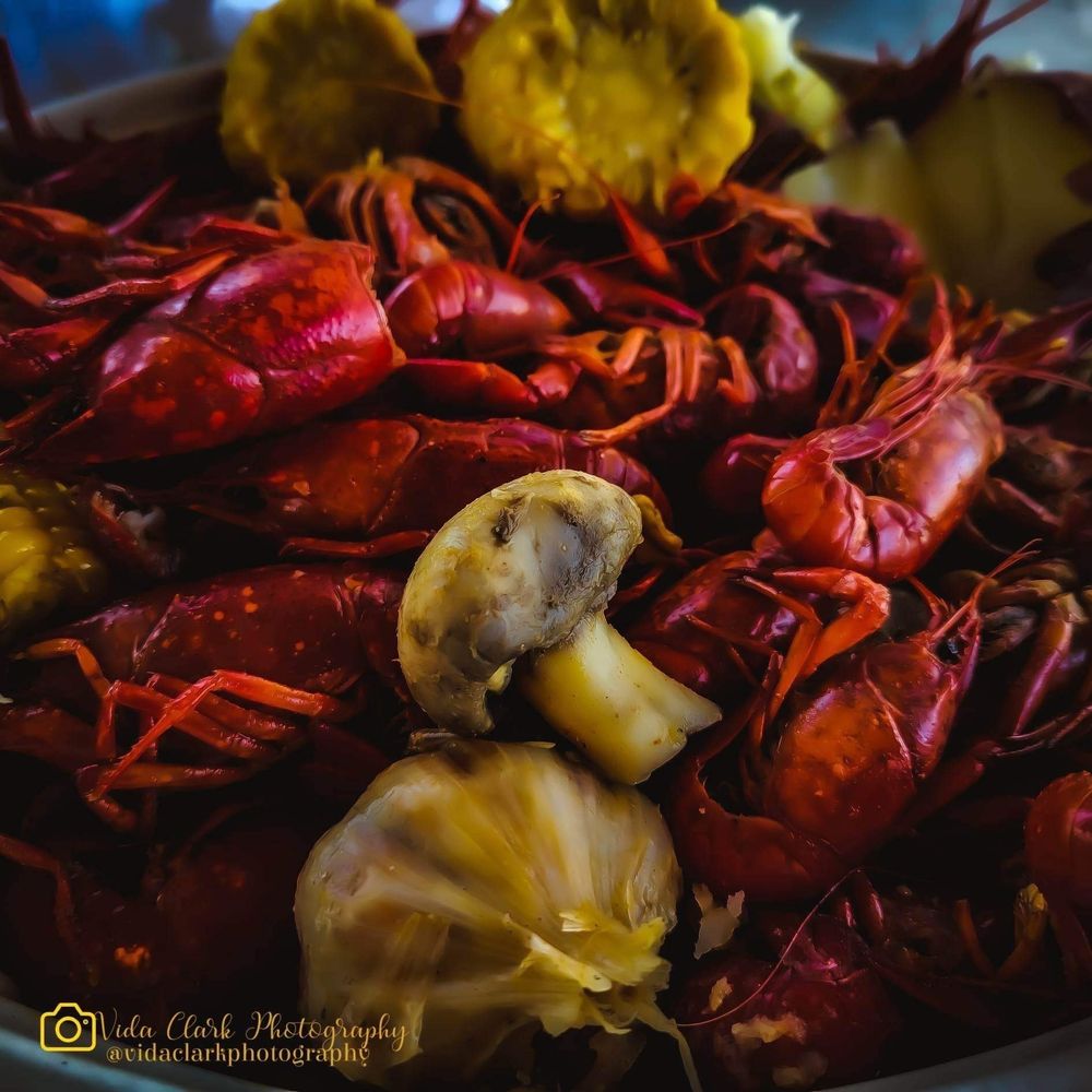 Crawfish at the Creek Logo