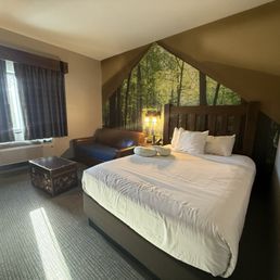 Our room (I forgot to take a pic of the bunk beds) Our room (I forgot to take a pic of the bunk beds)