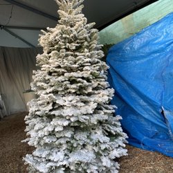 Jamboree Trees - Well flocked Christmas trees