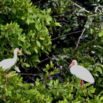 Reserva de Sian Ka'an - Hiking Near Me - Tulum, ROO Reserva de Sian Ka'an - Hiking Near Me - Tulum, ROO
