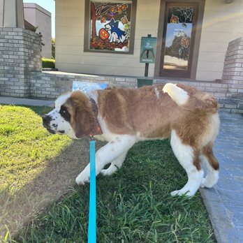 The Dog House Grooming - Pet Groomers Near Me - Tulare, California