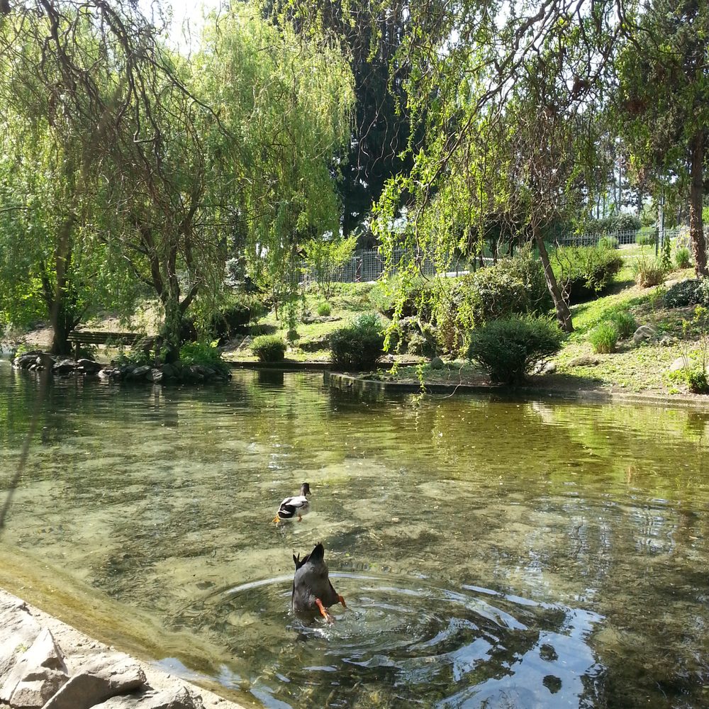 Parco del Valentino - Duck pond in the park. - Parks Near Me - Torino, TO