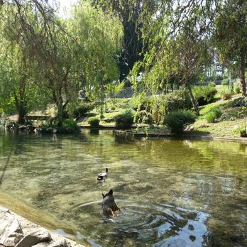 Parco del Valentino - Duck pond in the park. - Parks Near Me - Torino, TO