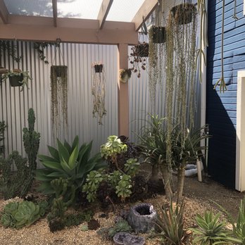 The Prickly Pear - Nurseries & Gardening Near Me - Sacramento, California The Prickly Pear - Nurseries & Gardening Near Me - Sacramento, California