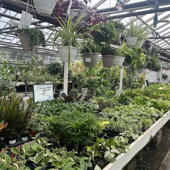 AJ Rahn Greenhouses - Nurseries & Gardening Near Me - Cincinnati, Ohio AJ Rahn Greenhouses - Nurseries & Gardening Near Me - Cincinnati, Ohio
