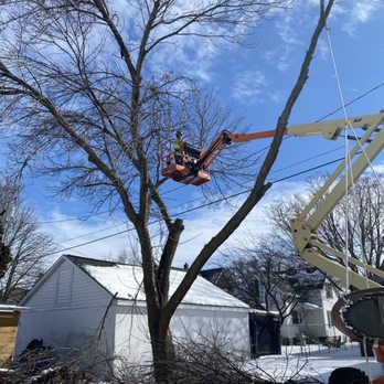Arbor Acres - Ash removal, Fond du Lac, WI - Tree Services Near Me Arbor Acres - Ash removal, Fond du Lac, WI - Tree Services Near Me