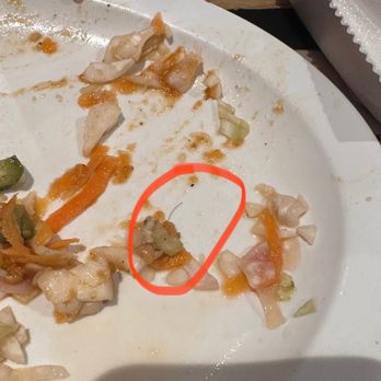 Pupuseria Usuluteca - MUY MAL SERVICIO!!! Y todavía me cobran hasta el aire que respire en este lugar! y luego un pelo en la comida? - Salvadoran Near Me - Austin, Texas Pupuseria Usuluteca - MUY MAL SERVICIO!!! Y todavía me cobran hasta el aire que respire en este lugar! y luego un pelo en la comida? - Salvadoran Near Me - Austin, Texas