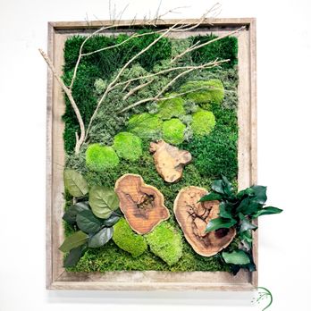 Naturspire - Preserved Moss Art piece hand-made by Naturspire. Bring Nature Indoors! - Commissioned Artists Near Me - Carmel, Indiana