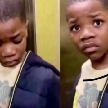 My Panecito - Me when I saw the concha and my strawberry one didn't even have strawberry ice cream - Bakeries Near Me - Orange, California