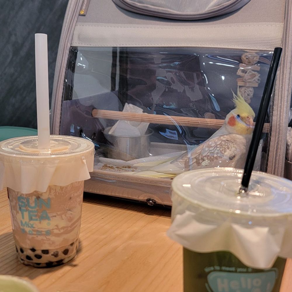 SunTea - Tea break with Ziggy - Bubble Tea Near Me - Montebello, California SunTea - Tea break with Ziggy - Bubble Tea Near Me - Montebello, California