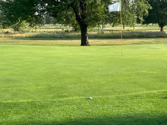 SAHM GOLF COURSE Updated July 2024 20 Photos 19 Reviews 6800 E SAHM GOLF COURSE Updated July 2024 20 Photos 19 Reviews 6800 E