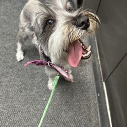 Penny's pretty happy about her hair cut!