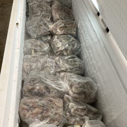 Erickson & Jensen Seafood - Here is the freezer today, 08/21/24. They had only white JUMBOS! Today's price is $30. for a 5 pound bag, about 50-55 shrimps.