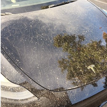 A1 Gutters - Dirty water from gutter dirtied my car - Gutter Services Near Me A1 Gutters - Dirty water from gutter dirtied my car - Gutter Services Near Me