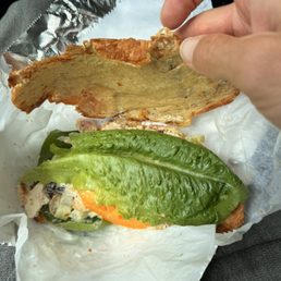 Chicken Salad