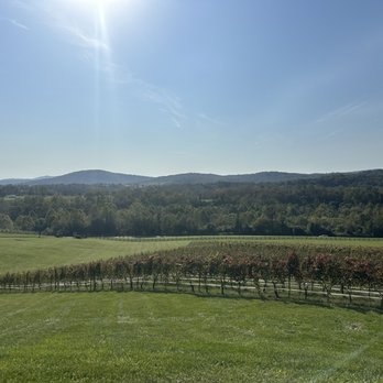 Delaplane Cellars - Wineries Near Me - Delaplane, Virginia Delaplane Cellars - Wineries Near Me - Delaplane, Virginia