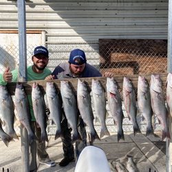 Lake Whitney Striper Fishing Guide Service