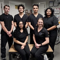 Main Street Animal Clinic - Meet the new team!