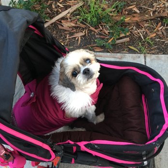 Pets Plus - Pet Stores Near Me - Mission Viejo, California