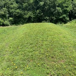 What a few box. Hard to tee above the weeds