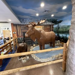 Life Sized Chocolate Moose!