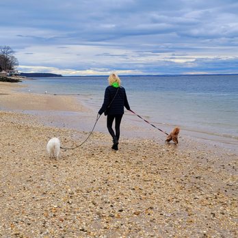 The Luxury Petsitter - Pet Boarding Near Me The Luxury Petsitter - Pet Boarding Near Me