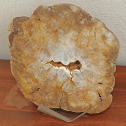 Trina's Rock Shop - Amethyst geode from Mine d'agates du Mont Lyall, Quebec, Canada.  Large specimen, about 10" across.