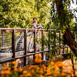 Jabez Photography - Parque