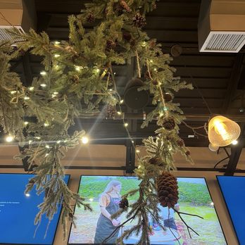Java Nation - Cafes Near Me - Gaithersburg, Maryland Java Nation - Cafes Near Me - Gaithersburg, Maryland