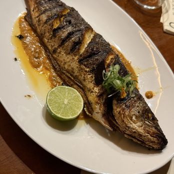 GAIA Supperclub - Bronzino - Greek Near Me - Washington, DC, District of Columbia GAIA Supperclub - Bronzino - Greek Near Me - Washington, DC, District of Columbia